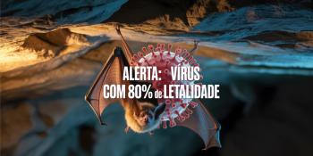Viagens internacionais e comércio de alimentos podem acelerar a disseminação dos vírus mortais.