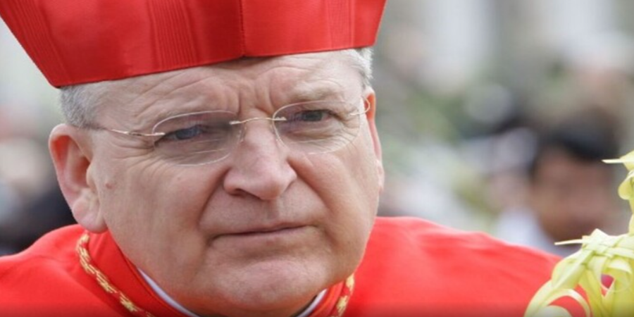 O cardeal americano Raymond Burke foi privado de residência e salário no Vaticano foto de fontes abertas