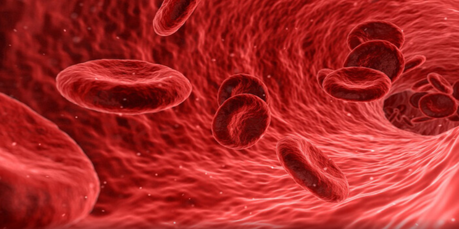Cientistas investigaram que grupo sanguíneo afeta a suscetibilidade a doenças Foto de fontes abertas
