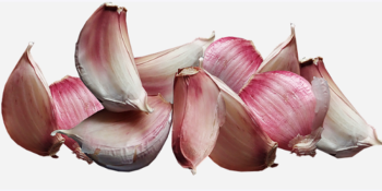 Descubra os Benefícios Surpreendentes de Comer Alho Todos os Dias